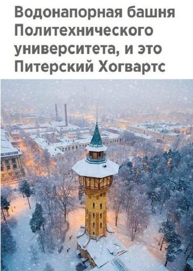 Смешные картинки с подписями (20 фото)