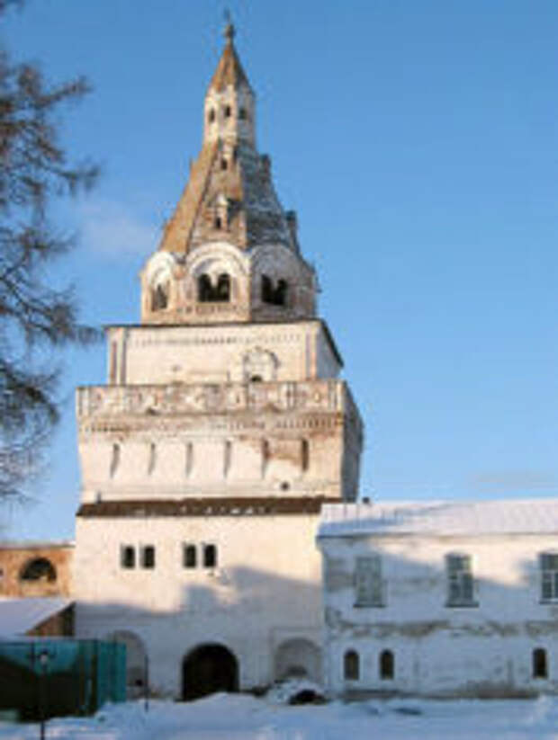 Павлиний глаз в Волоколамске