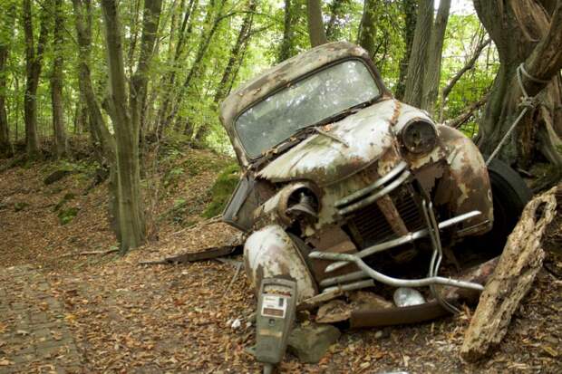 Гонщик собрал коллекцию автомобилей в немецком лесу кладбище автомобилей, коллекция, старые автомобили
