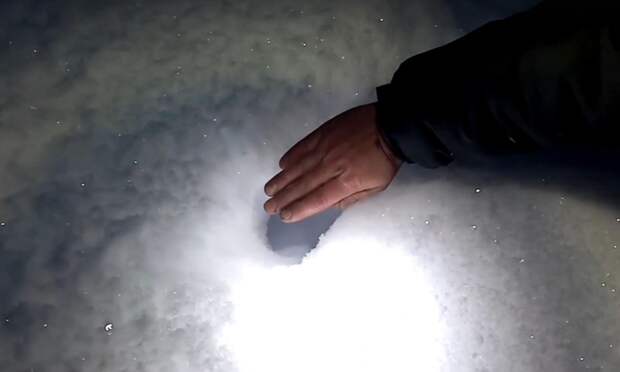 След кабана обнаружен в «Онежском Поморье» спустя десятилетие