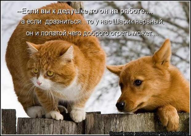 Мысли вслух :)