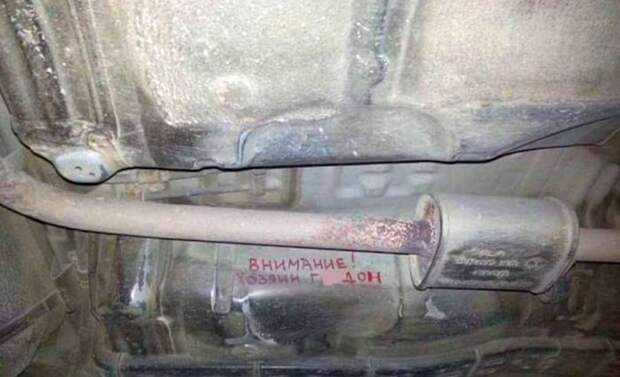 Прикольные картинки