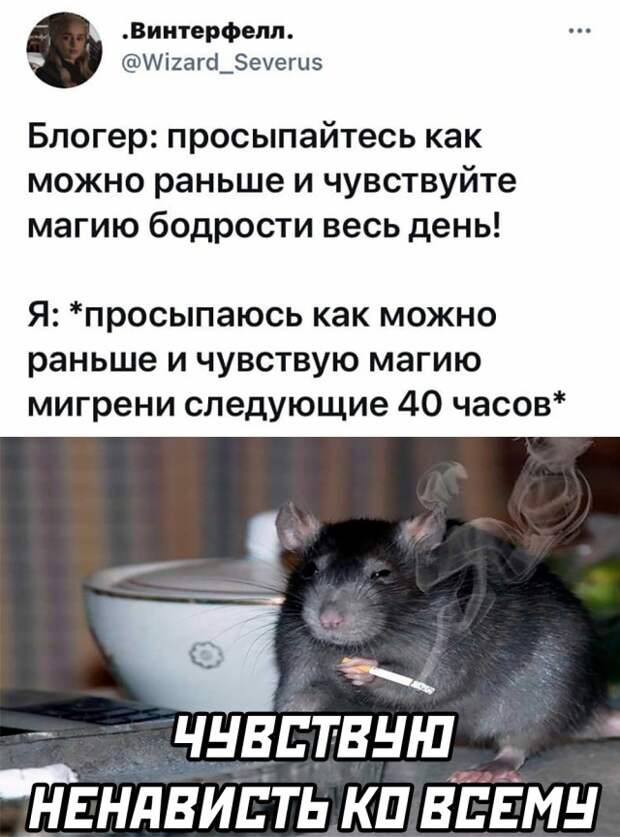 Смешные картинки 12 мая 2021