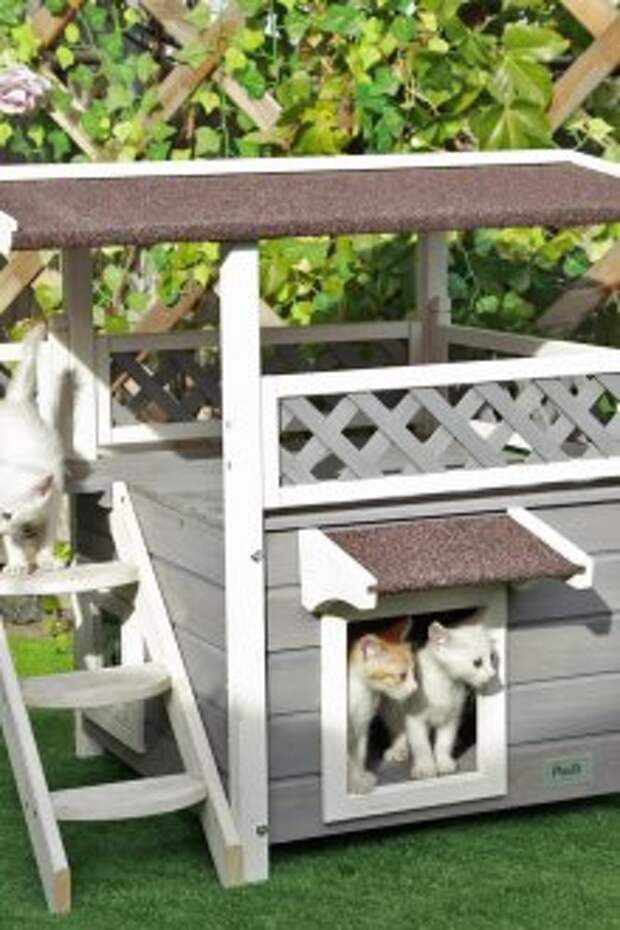 Домик для кошки в саду