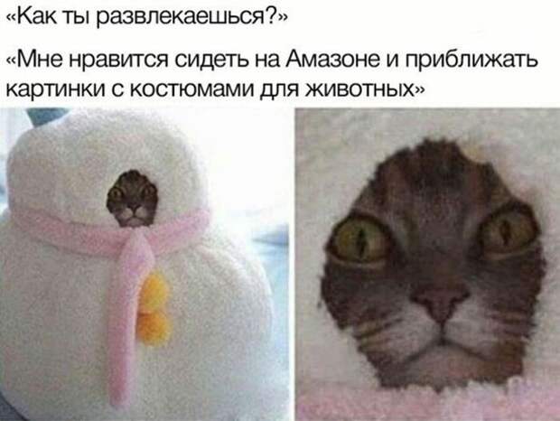 Прикольные и смешные картинки