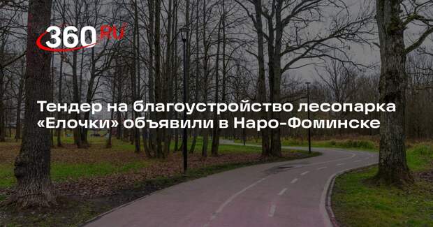 Тендер на благоустройство лесопарка «Елочки» объявили в Наро-Фоминске