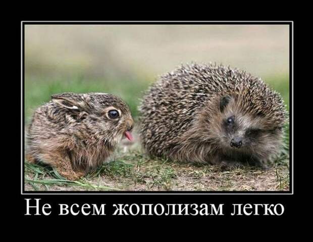 Демотиваторы (30 фото)