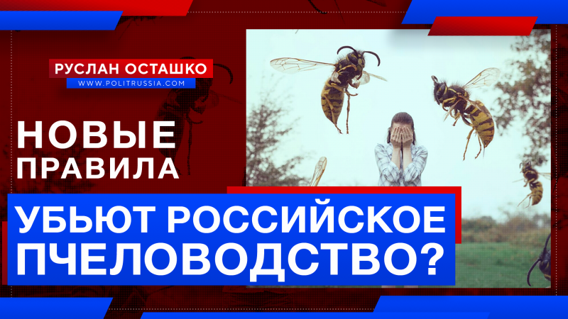 Новые Ветеринарные правила убьют российское пчеловодство?