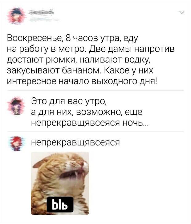 polzovateley-sarkastichnyh-socsetey-citaty-vkontakte-vkontakte-smeshnye-statusy