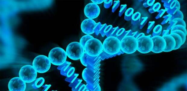 Цифровая память будущего: магниты и оптика, ДНК и атомы