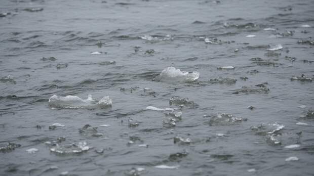 В реке в Звенигороде, где ищут пропавших детей, вода не более +3 °С