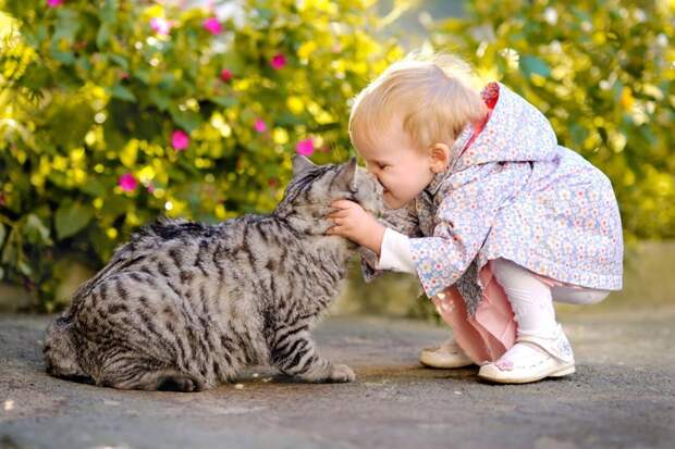 11. Поцелуи  кот, малыш, очарование