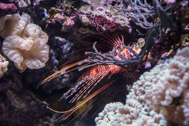 Seattle Washington Part 1-3.jpg