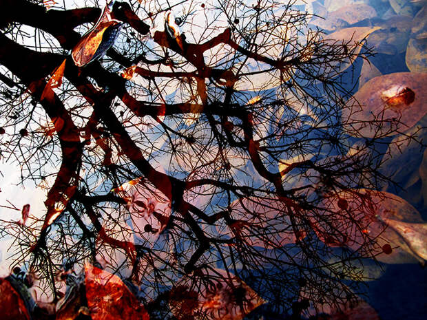 amazing-reflections-optical-illusion-108-5837f4227d5fa__700