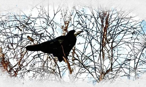 Синоптики пообещали орловцам апрельское тепло