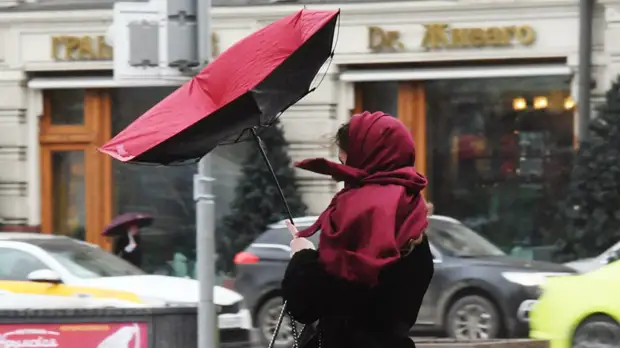 МЧС предупредило о сильном ветре в Москве