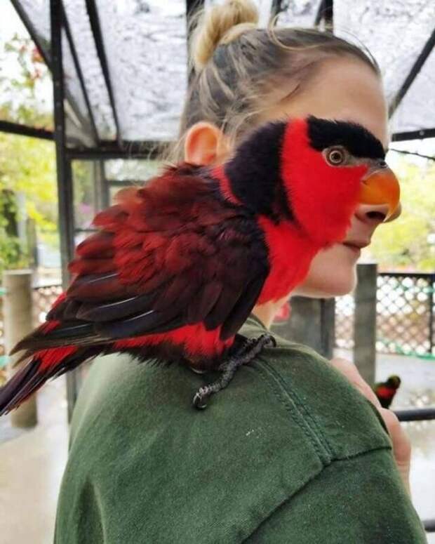 Неожиданные сходства и случайные совпадения на снимках