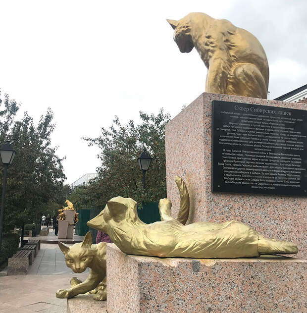 Как сибирские кошки спасли петербургский Эрмитаж