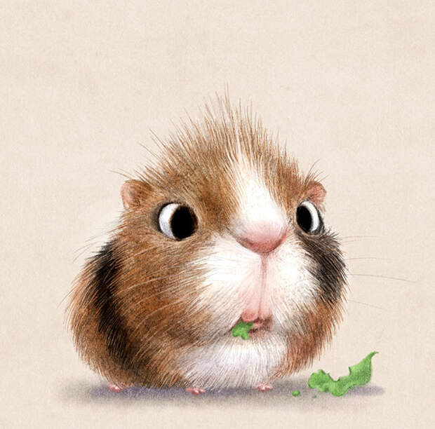 Cute Animal Illustration