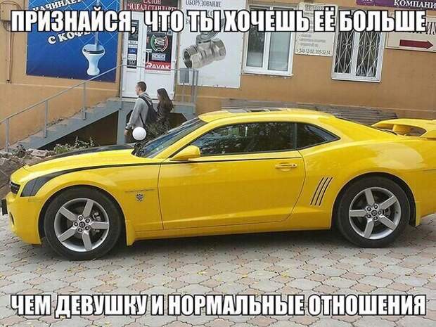Смешные картинки с надписями прикол, юмор