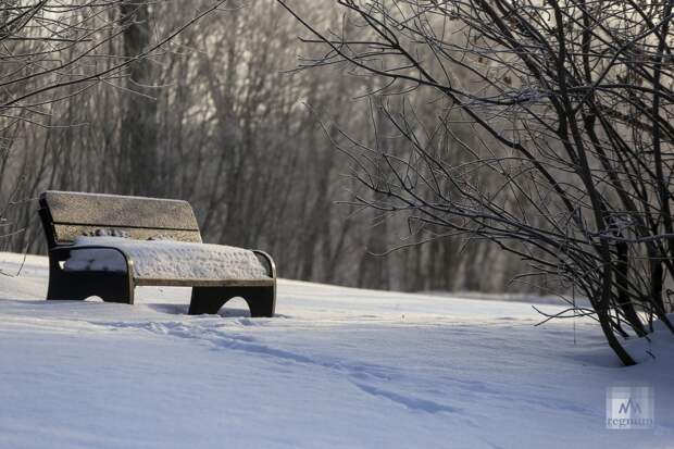 Зима. Кузьминский парк. Москва