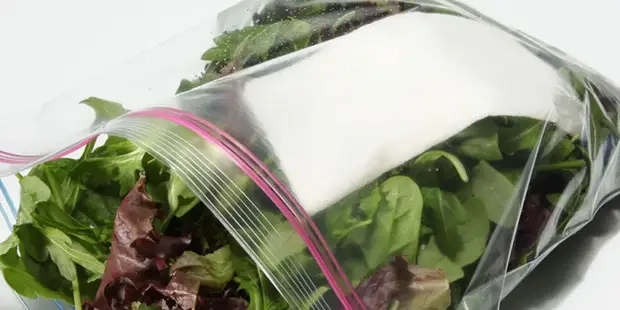 Простая салфетка продлит жизнь салату. Простая салфетка продлит жизнь салату.