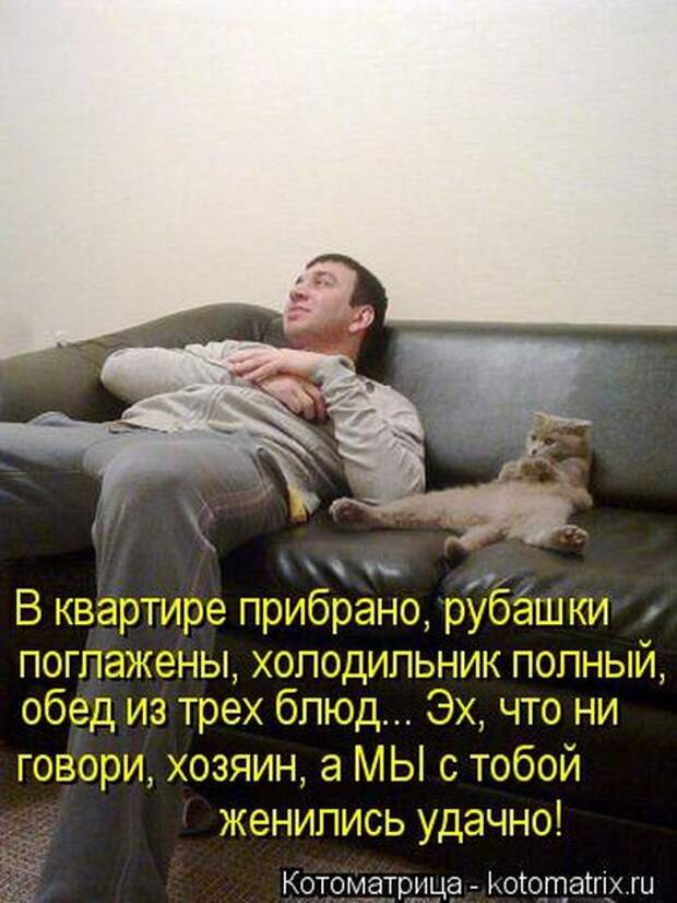 Лучшие котоматрицы недели Лучшие котоматрицы недели