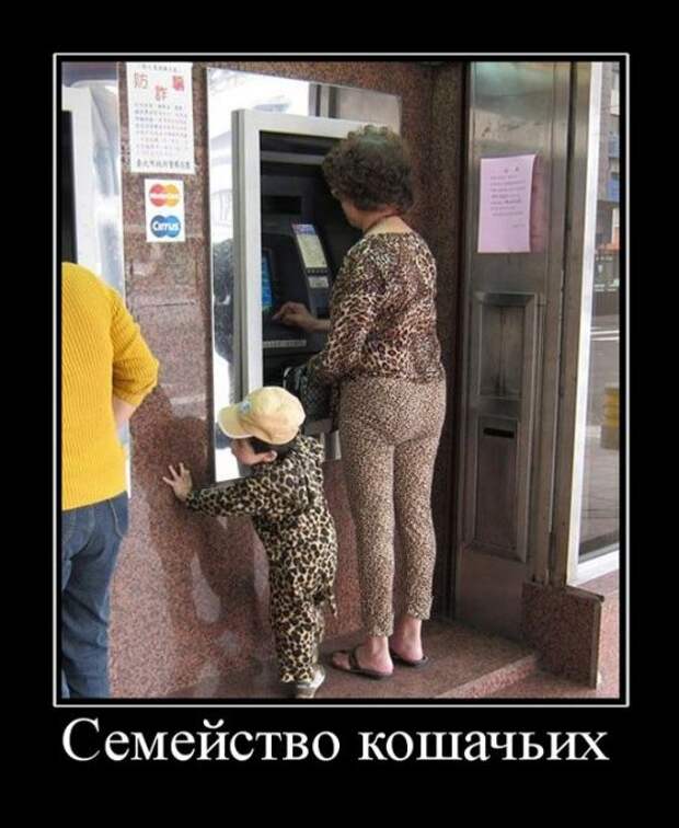 Демотиваторы (30 фото)