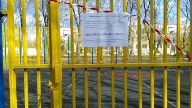 Предоставлено управой Головинского района