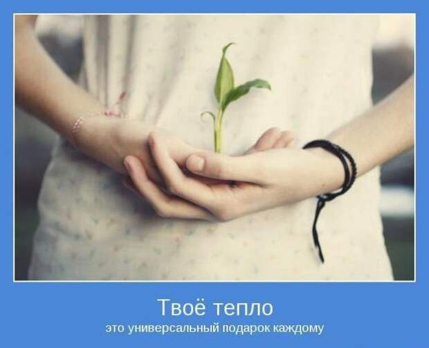 Позитивные мотиваторы (40 фото)