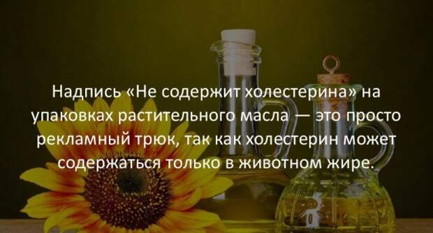 Занимательные факты интересно, любопытно, факты