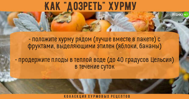 Для настоящих хурманов: самые охурмительные рецепты из оранжевой ягоды