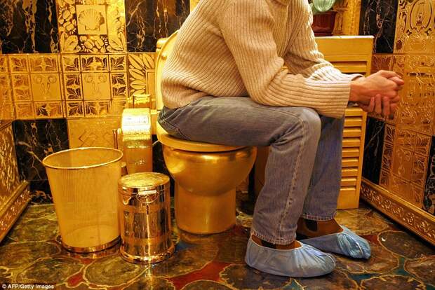 toilets01 Самые необычные туалеты в мире
