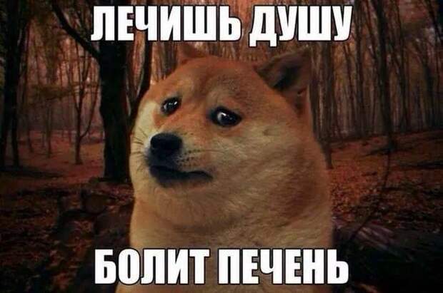 4091271_4bc2c392