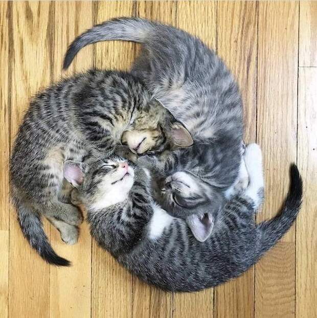 Приятные снимки, которые успокаивают глаза и душу
