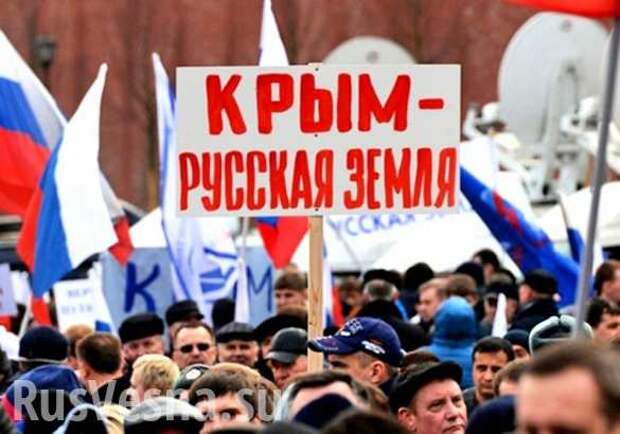 Немецкие советы украинцам: «Забудьте про Крым и НАТО, сближайтесь с Россией» | Русская весна
