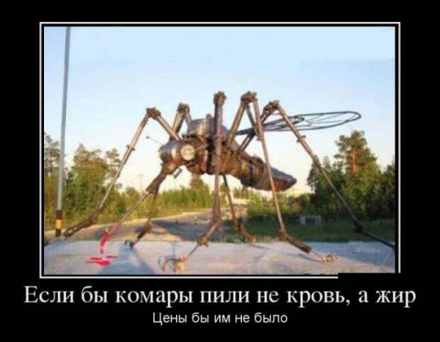 Обо всём.