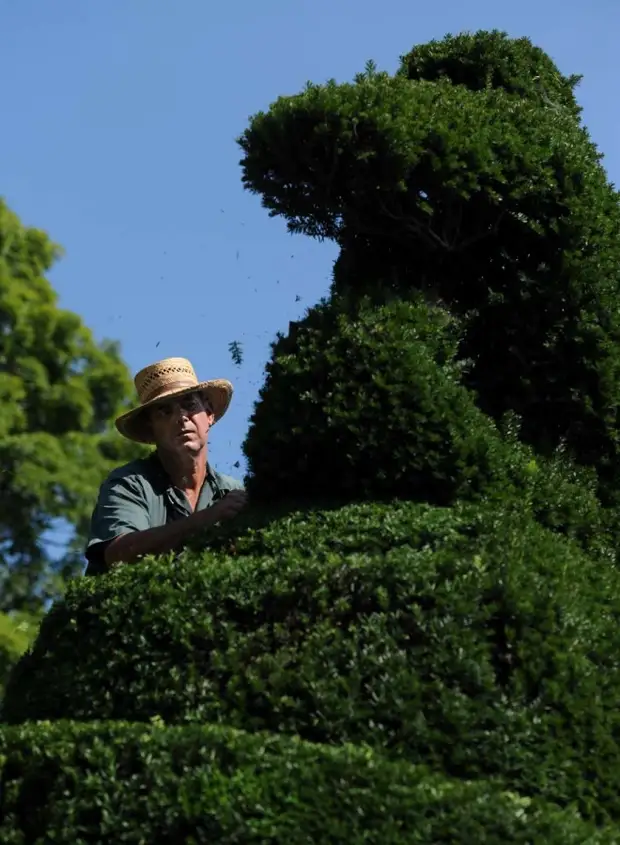 Само сад. Ladew Topiary Gardens в Монктоне.