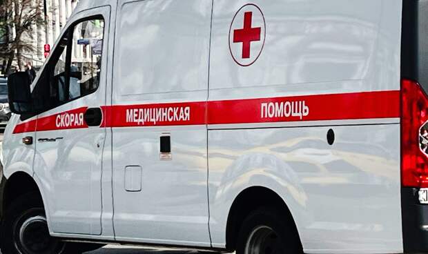 Стало известно о смерти школьницы из многодетной семьи под Москвой