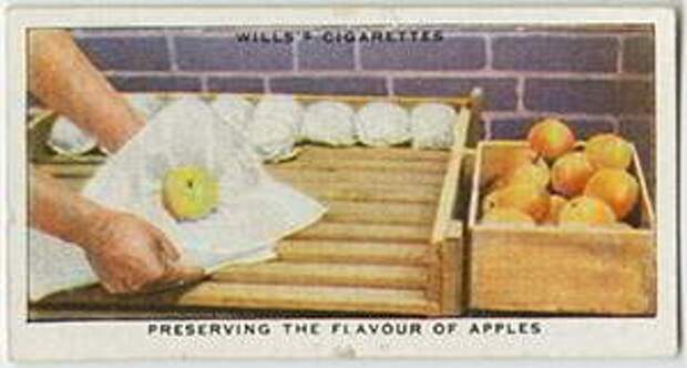 Как сохранить аромат яблок: Органическая еда, натуральные продукты