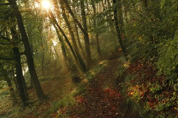 Что ни в коем случае нельзя делать в день после Пасхи. Традиции, известные в народе, и приметы