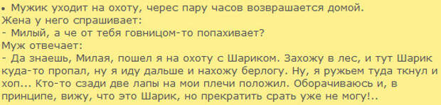 Анекдот про мужика и медведя. Анекдоты про охоту. Анекдоты про охотников. Анекдот про охоту на медведя. Анекдот про медведя.