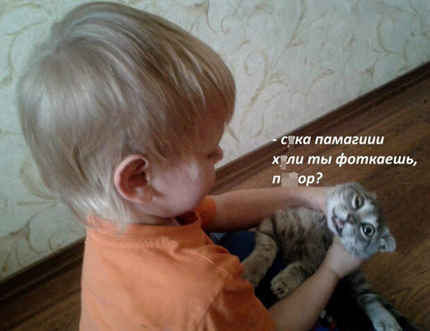 А котиков всегда жалко  дети, прикол, родители, юмор