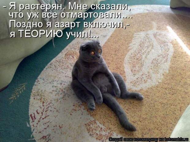 Забавные животные (50 фото)