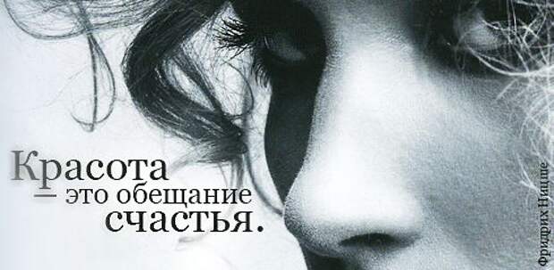 Полезные цитаты на все случаи жизни (64 картинки)