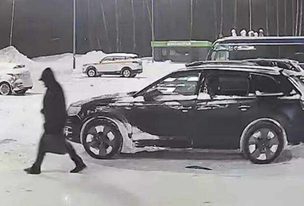 Трое рецидивистов похитили из машины более 10 млн рублей в Подмосковье