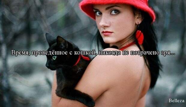 Прикольные цитаты в картинках (42 фото)