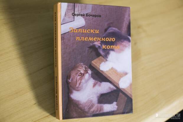 Новосибирец написал книгу в память об умершем от рака коте книга, кот, новосибирск, память