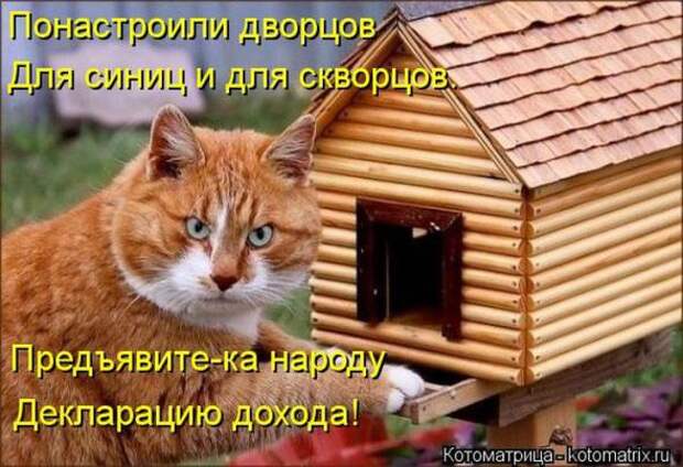 Котоматрицы (картинки с надписями)