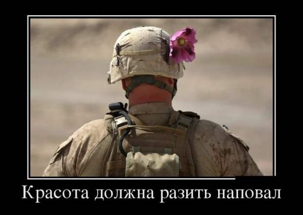 Демотиваторы (30 фото)